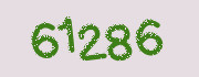Security check